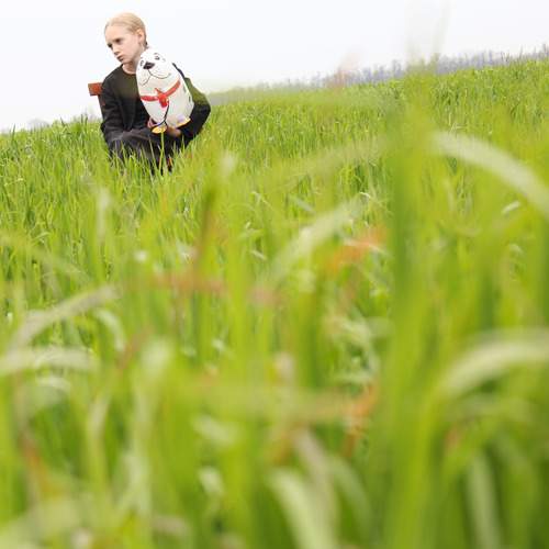 Photo #13645159
