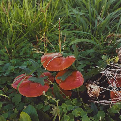 Photo #13645172