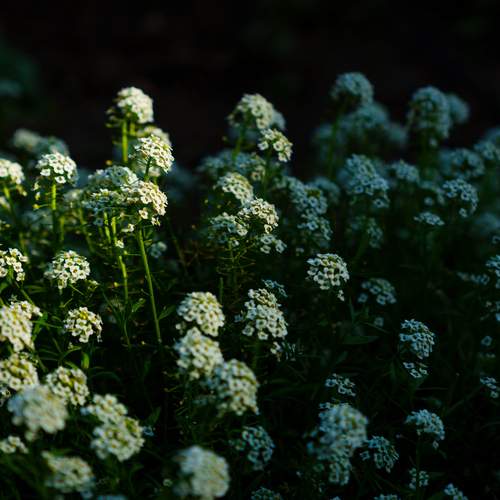 Photo #13645226