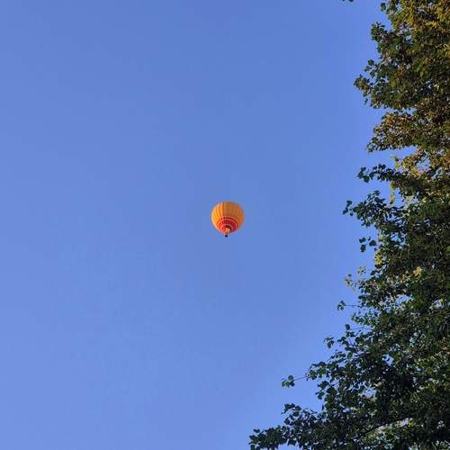 Photo #13645316