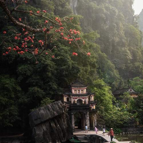 Photo #13645343