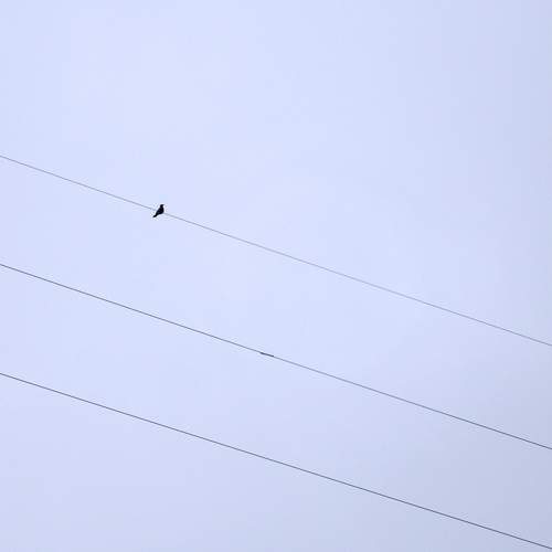 Photo #13645421