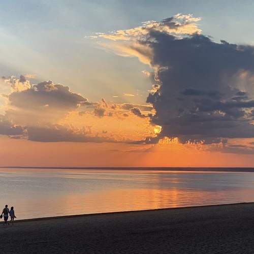 Photo #13645474