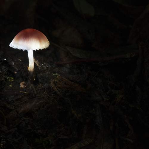 Photo #13645489