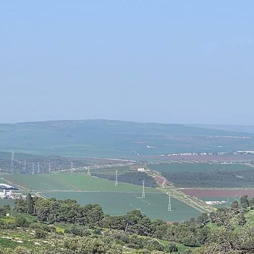 Photo #13645523