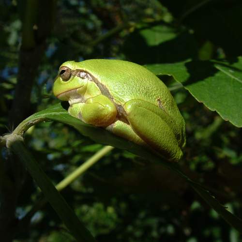 Photo #13645543