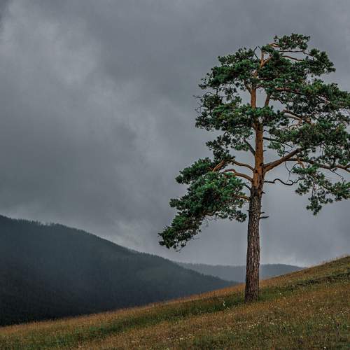 Photo #13645556