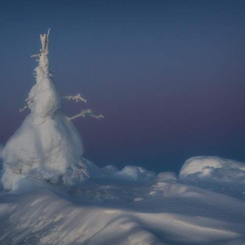 Photo #13645559