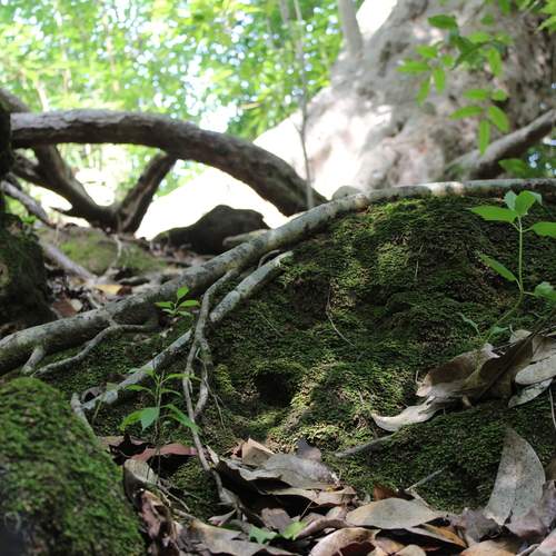 Photo #13645566