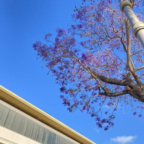 Photo #13645596