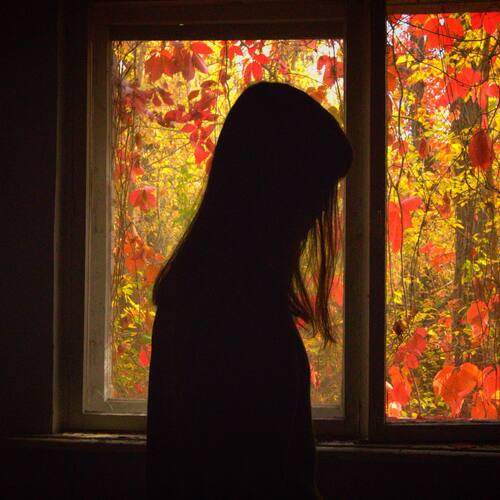 Photo #13645640