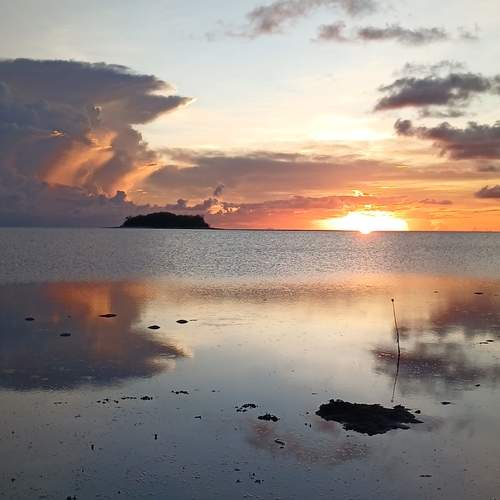 Photo #13645681