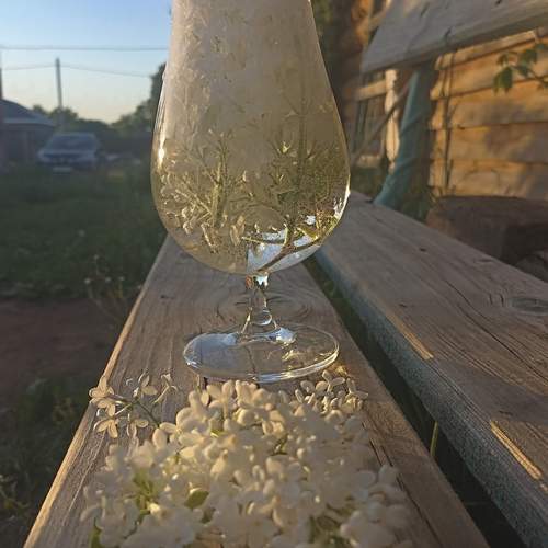 Photo #13645711