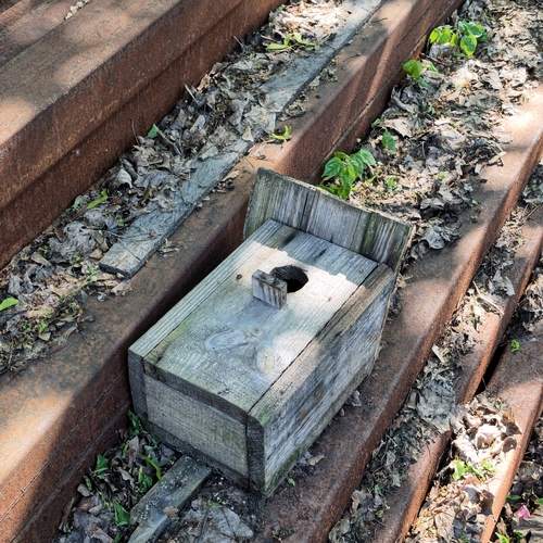 Photo #13645729