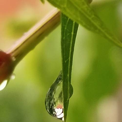 Photo #13645763