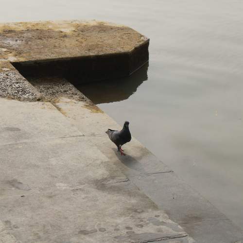 Photo #13645812