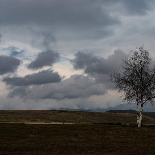Photo #13645887