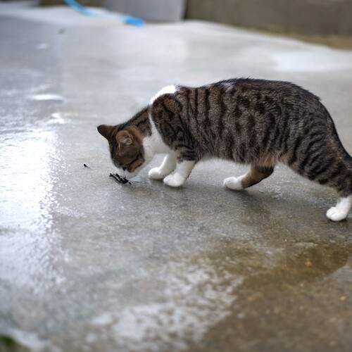 Photo #13645954