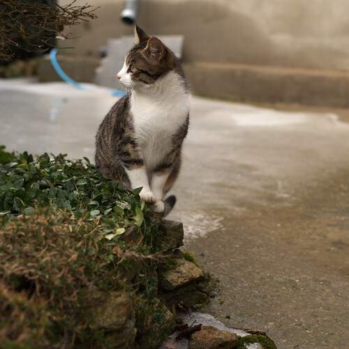 Photo #13645955