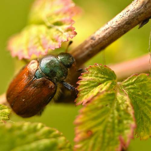 Photo #13645967