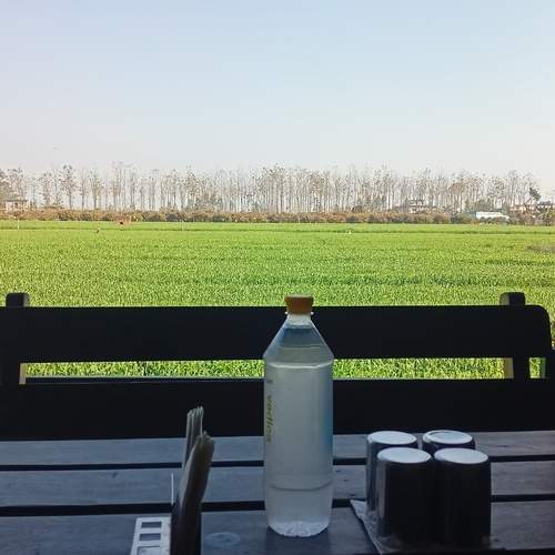 Photo #13645972