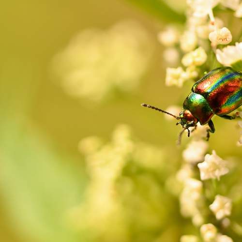 Photo #13645974