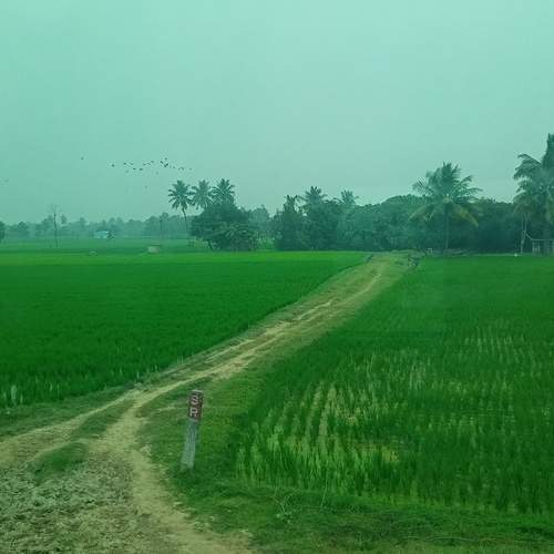 Photo #13645988