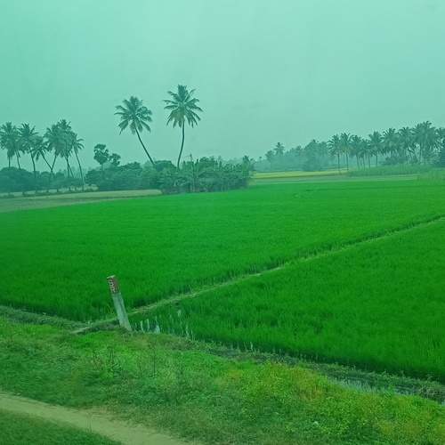 Photo #13646001