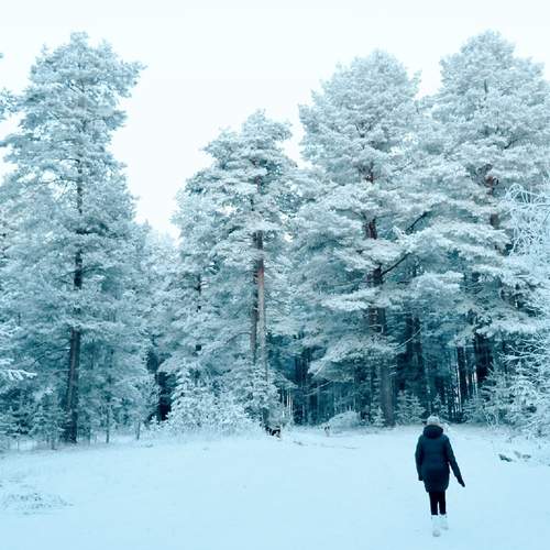 Photo #13646014