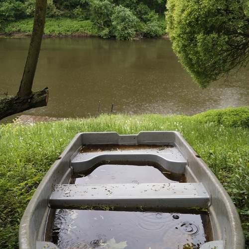 Photo #13646038