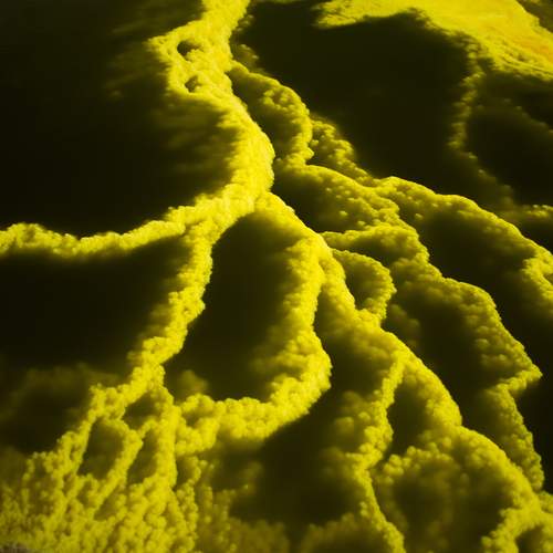 Photo #13646081