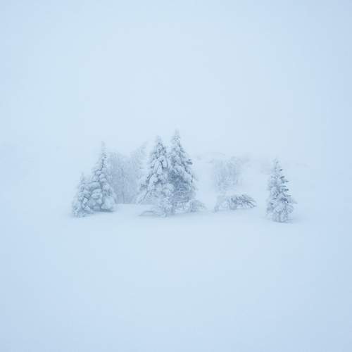Photo #13646110