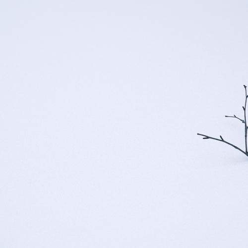 Photo #13646124