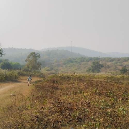 Photo #13646235