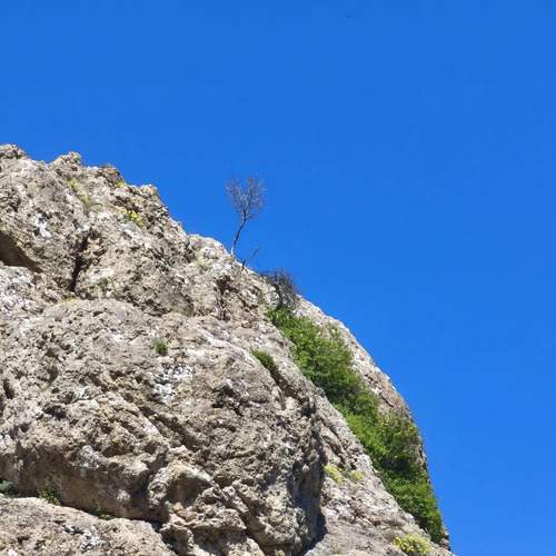 Photo #13646388
