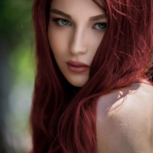 Photo #13646389