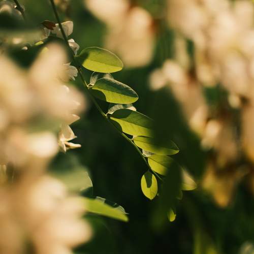 Photo #13646394