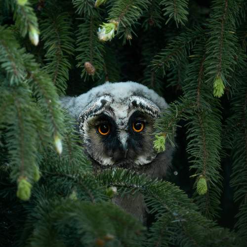 Photo #13646402