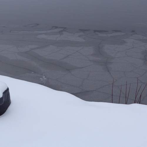 Photo #13646426