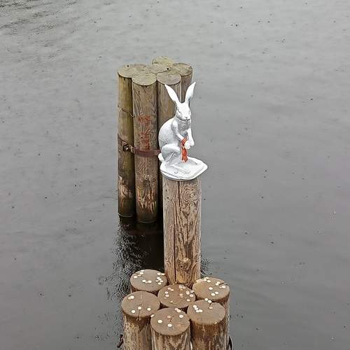 Photo #13646433