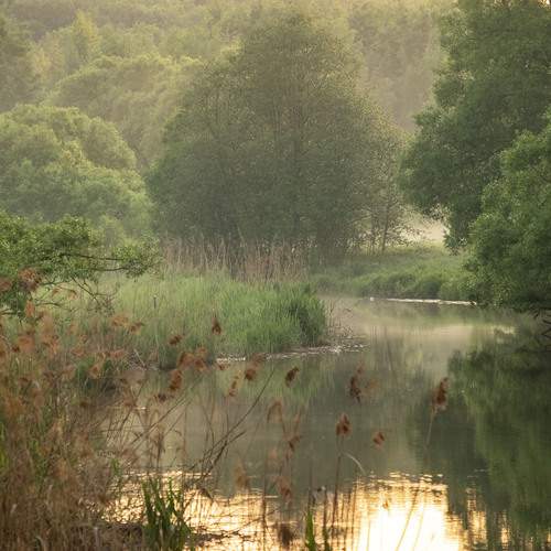 Photo #13646468