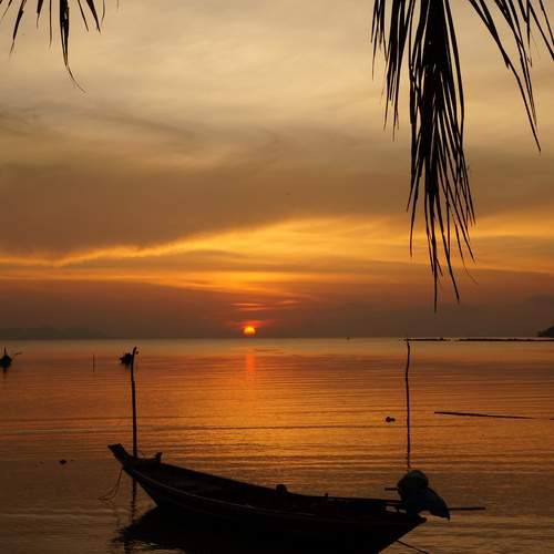 Photo #13646484