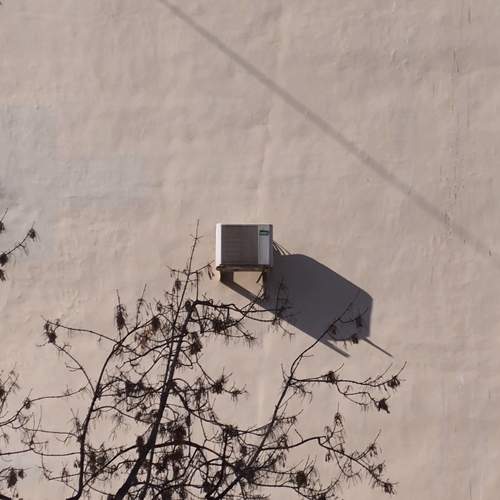 Photo #13646496