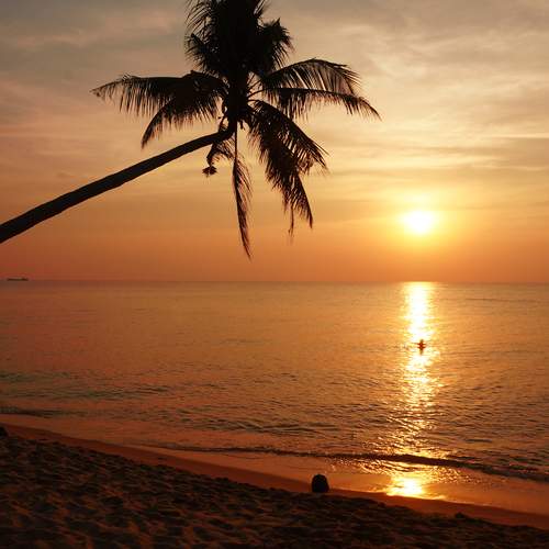 Photo #13646500