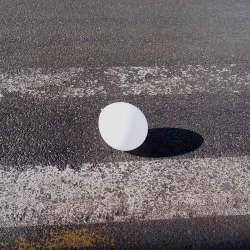 Photo #13646507
