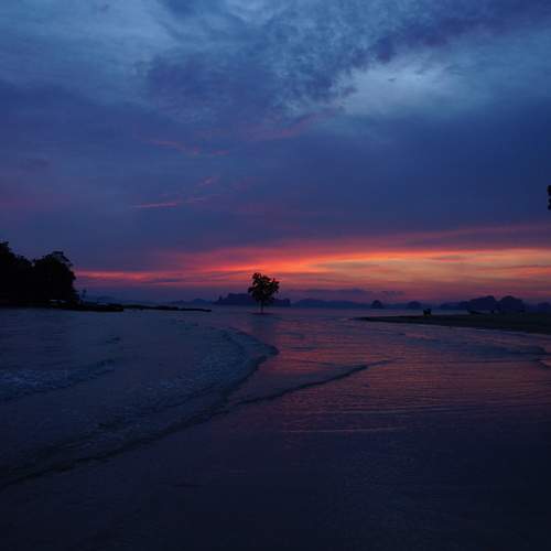 Photo #13646539
