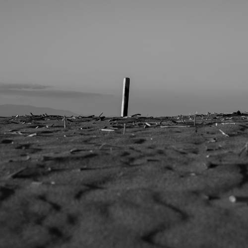 Photo #13646554