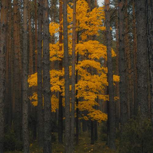 Photo #13646560