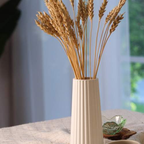 Photo #13646631