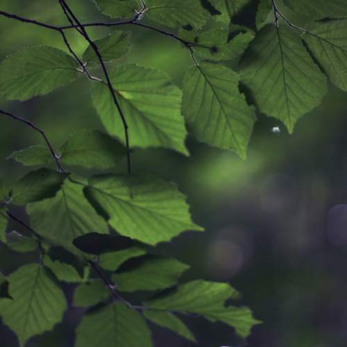 Photo #13646633